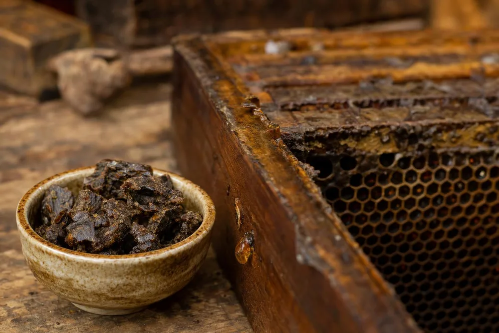 Propolis iz košnice